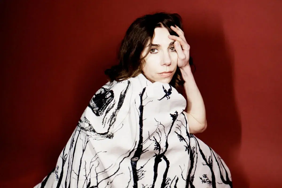 PJ Harvey prepara un nuevo disco y un libro: Así lo anunció en Año Nuevo