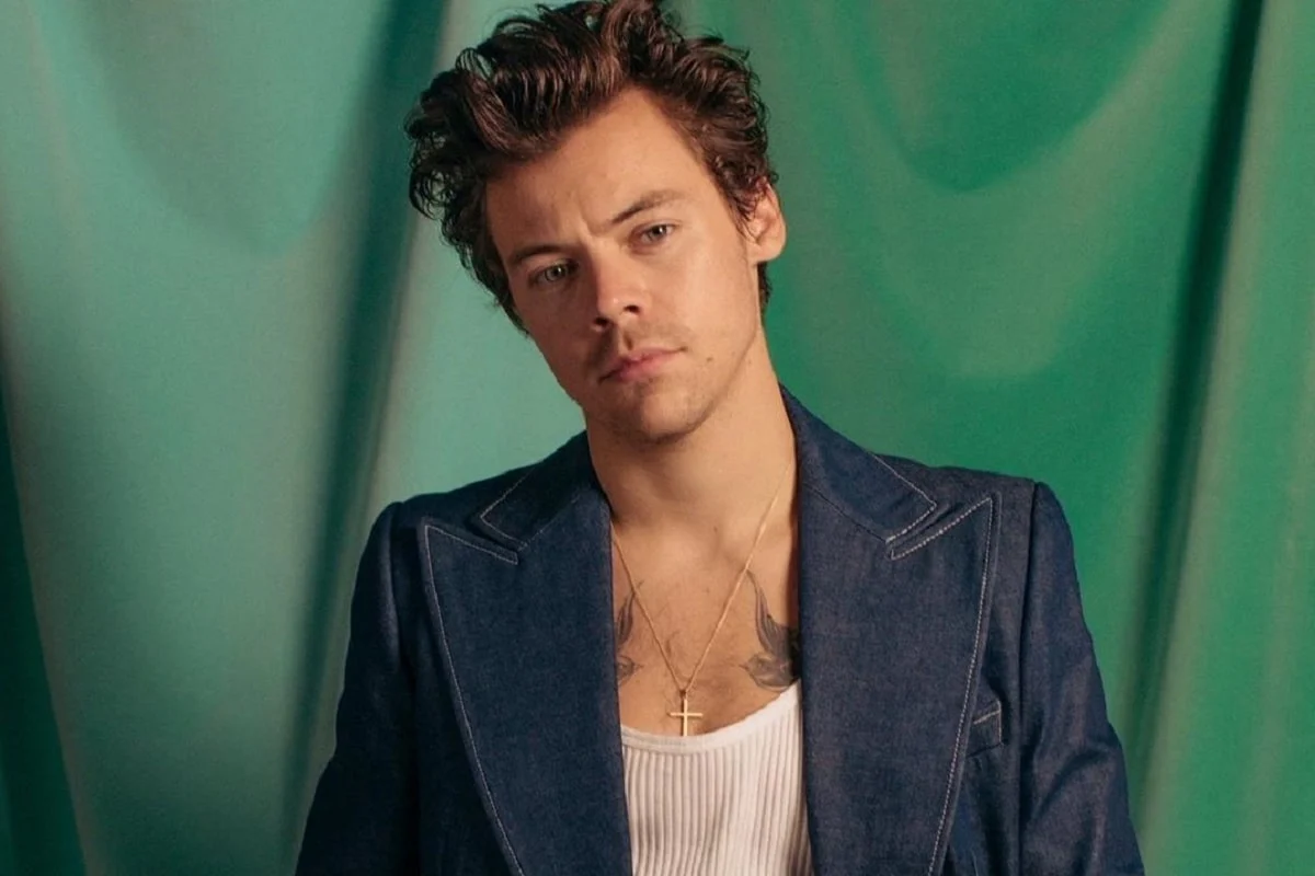 Harry Styles anuncia un show único que podrá verse en Netflix